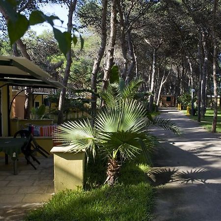 Camping La Vecchia Torre Gallipoli Exterior foto